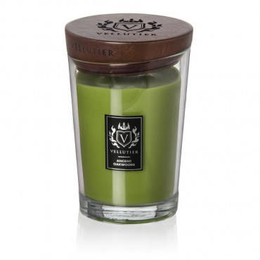 Große Kerze Ancient Oakwoods Vellutier