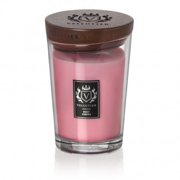 Große Kerze Rosy Cheeks Vellutier